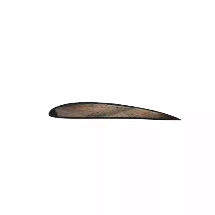 Fixed Wing Drone