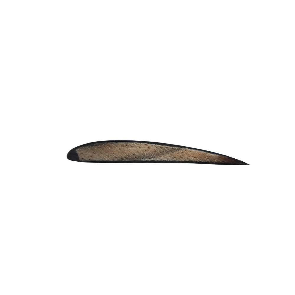 Fixed Wing Drone