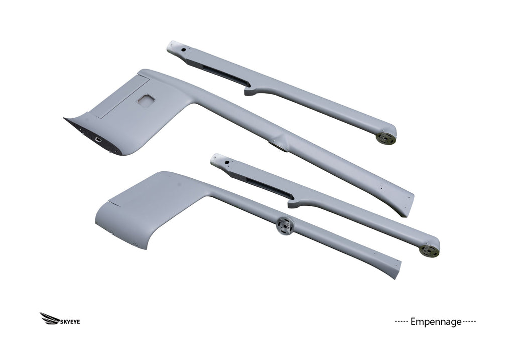 Fixed Wing Drone