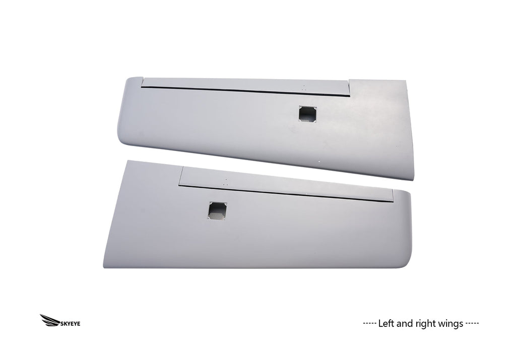 Fixed Wing Drone